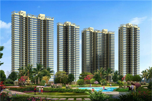 新懒汉排骨米饭