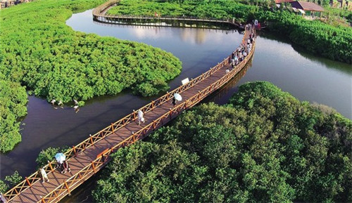 西北马记牛肉面