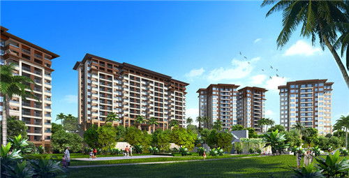 金马鸡汤刀削面