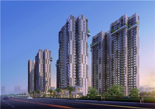 中卫市创业2025磨牙棒加盟店哪家项目比较火爆