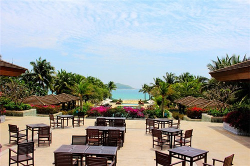 茶颜茶语加盟亏不亏，加盟茶颜茶语开店装修要多少钱