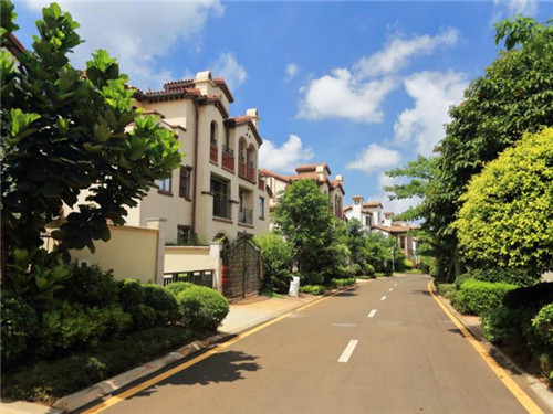 在扎鲁特旗加盟风雅老树咖啡全国连锁开店有什么前景，扎鲁特旗开咖啡加盟后期回报大吗