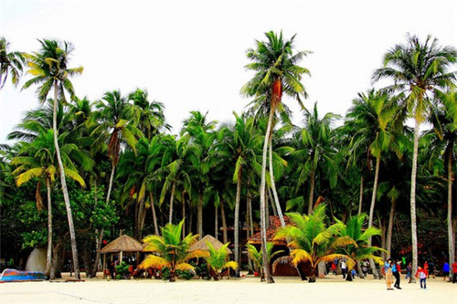 加盟一个Regiustea天御皇茶地址怎么选，加盟Regiustea天御皇茶开店什么地段比较好