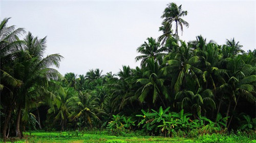 防紫外线眼镜品牌加盟需要什么条件，防紫外线眼镜品牌排行