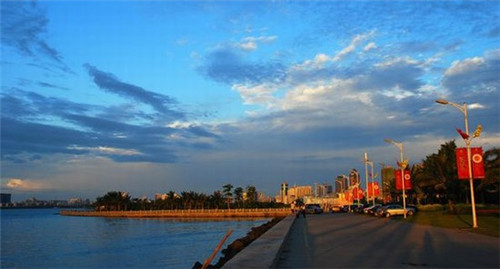 奶茶店牛乳用什么牌子好