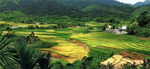 鲁迅公园离什么景点最近（鲁迅公园怎么走去路线）