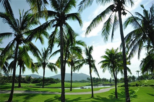 澳之冠品牌加盟费多少（澳之冠加盟电话）